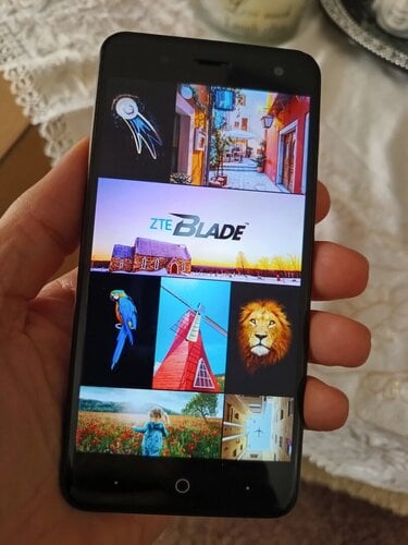 Περισσότερες πληροφορίες για "ZTE Blade V8 mini (Μαύρο)"