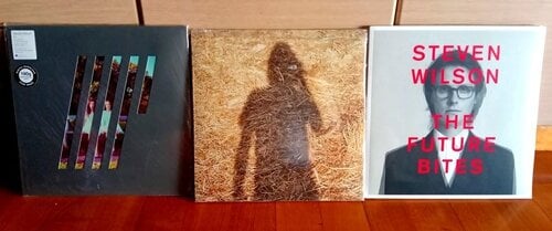 Περισσότερες πληροφορίες για "STEVEN WILSON - 3 VINYLS"