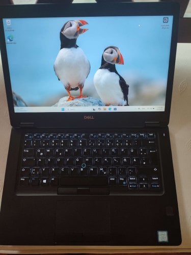 Περισσότερες πληροφορίες για "Laptop Dell Latitude 5490 i5-8250u/16GB RAM/250 GB SSD 14""