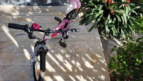 Περισσότερες πληροφορίες για "Ποδήλατο IDEAL CONDOR (2023)"