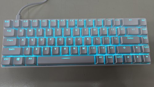 Περισσότερες πληροφορίες για "DrunkDeer G65 Rapid Trigger Mechanical Keyboard Magnetic Switch ABS Keycap OEM"