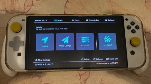Περισσότερες πληροφορίες για "Nintendo Switch OLED (CFW) + GripCase + Carrying case + Pro Controller"