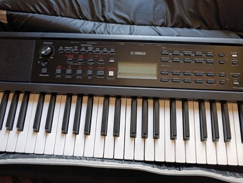 Περισσότερες πληροφορίες για "YAMAHA PSR E-383 + STAAG ΘΗΚΗ ΜΕΤΑΦΟΡΑΣ ΦΥΛΑΞΗΣ"