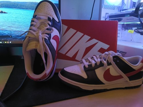 Περισσότερες πληροφορίες για "Nike Dunk Low Retro"