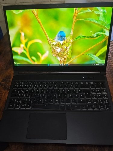 Περισσότερες πληροφορίες για "Gaming Laptop RTX 4060"