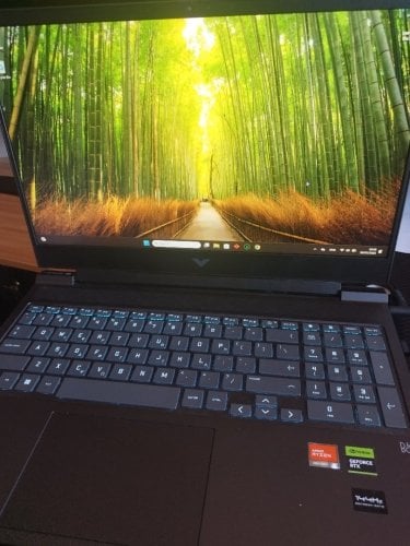 Περισσότερες πληροφορίες για "Gaming laptop HP Victus 16 4070rtx edition"