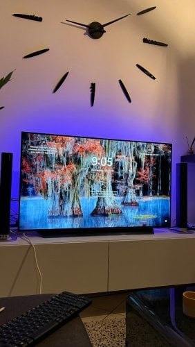 Περισσότερες πληροφορίες για "Oled48c1 Evo panel"