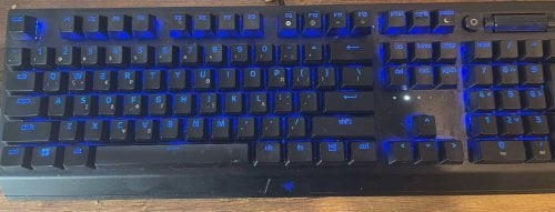 Περισσότερες πληροφορίες για "Razer Blackwidow V3 (Εντός εγγύησης)"