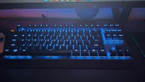 Περισσότερες πληροφορίες για "RAZER Blackwindow Tenkeyless V3"