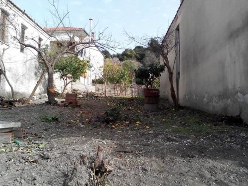 Περισσότερες πληροφορίες για "Οικόπεδο 240 τ.μ. στην Αγία Παρασκευή Χαλκιδικής (πρώτο πόδι) - ΚΕΝΤΡΟ θέα θάλασσα - ΣΔ 0,8"