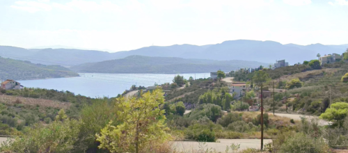 Περισσότερες πληροφορίες για "Πωλείται Οικόπεδο 1.009 τ.μ. – Με Θέα Θάλασσα – ΟΣΜΑΕΣ Θεολόγος Φθιώτιδας"
