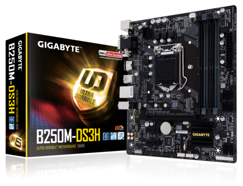 Περισσότερες πληροφορίες για "Μητρική Gigabyte B250M-DS3H + Επεξεργαστής Intel Pentium G4560 + 16GB RAM DDR4 + SSD 128GB"