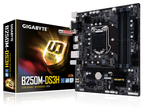 Περισσότερες πληροφορίες για "Μητρική Gigabyte B250M-DS3H + Επεξεργαστής Intel Pentium G4560 + 16GB RAM + SSD 128GB"