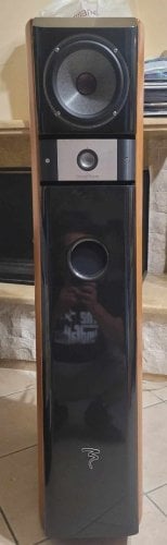 Περισσότερες πληροφορίες για "Focal Diva Utopia BE Reference Speakers"