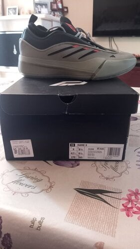 Περισσότερες πληροφορίες για "ADIDAS DAME 9 No 42 2/3"