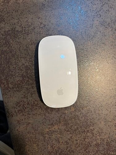 Περισσότερες πληροφορίες για "Apple Magic Mouse"