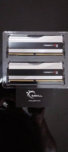 Περισσότερες πληροφορίες για "G.Skill Trident Z5 RGB DDR5 6800 mhz 32GB RAM με 2x16GB Modules"