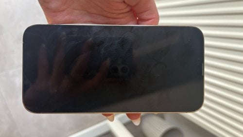 Περισσότερες πληροφορίες για "Apple iPhone 13 Pro Max (Χρυσό/128 GB)"