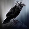 Prophet Raven